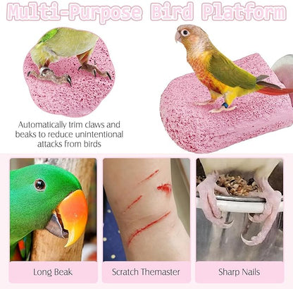 PINVNBY 5 Pack Bird Perch Resin Bird Beak Grinding Stone Parrot Cage Stand - Image 4