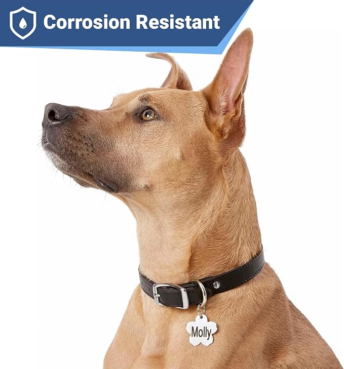 GoTags Stainless Steel Pet ID Tags, Personalized Dog Tags and Cat Tags - Image 4