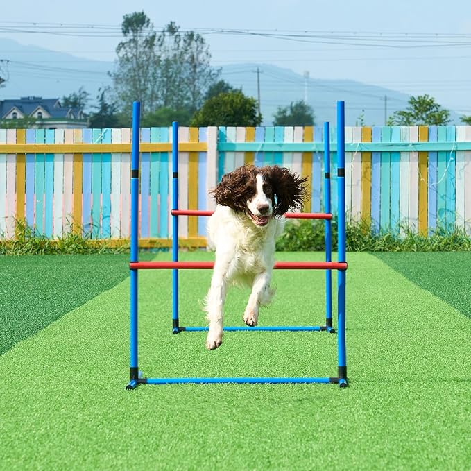 VEVOR Dog Agility Course Backyard Set, 2 Tunnels - Image 9