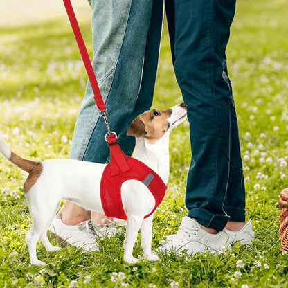 PUPTECK Adjustable Dog Harness Collar and Leash Set Step in No Pull Pet Harness - Image 7