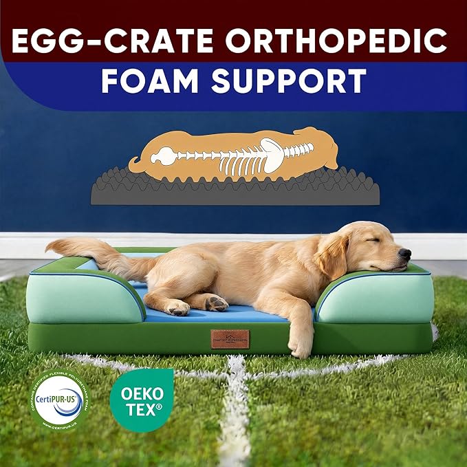 Comfort Expression Orthopedic Dog Bed - Image 3