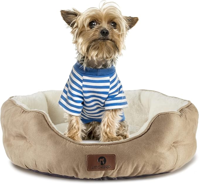 Asvin Small Dog Bed for Small Dogs, Cat Beds for Indoor Cats, Pet Bed for Puppy - Image 2
