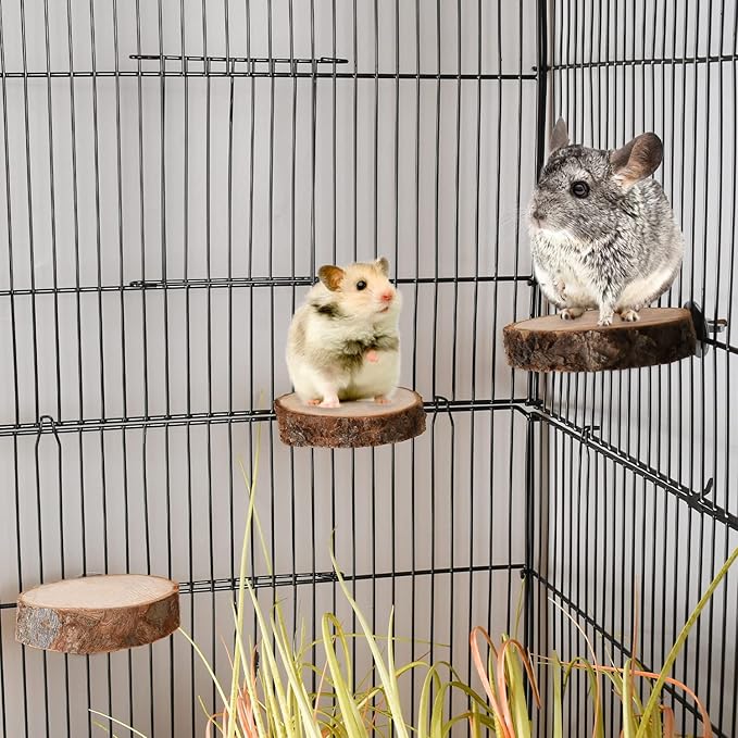 18 PCS Bird Perches Stand Toy, Natural Wood Parrot Perch Stand Bird Cage - Image 6
