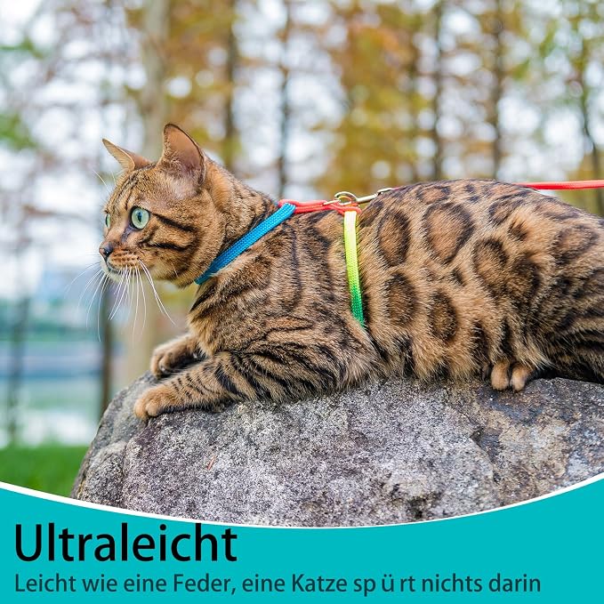 PUPTECK Adjustable Cat Harness and Leash Set Escape Proof Kitten Strap Collar - Image 3