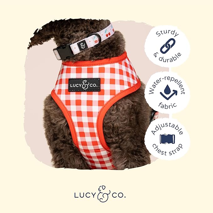 Lucy & Co. Cheery Cherries, Cute Reversible Dog Harness Walking Halter - Image 6