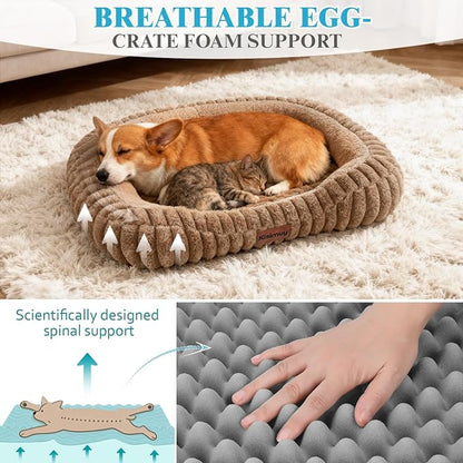 Dog Bed for Extra Large Dogs, Cute XL Dog Bed - Image 2