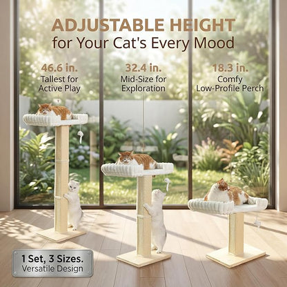 Cat Scratching Post with Large Window Perch - Image 3