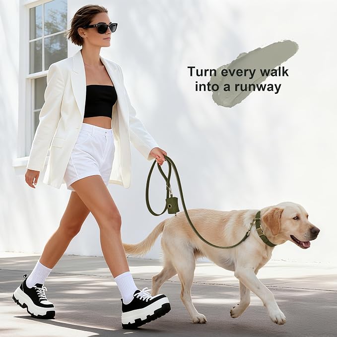 Didog Soft PU Leather Dog Collar, Stylish Quick Released Dog Collar - Image 4