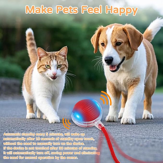 2025 New 2Pack Cat Ball Kitten Toys - Image 6