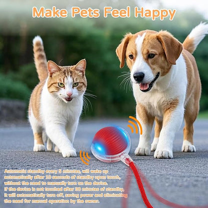 2025 New 2Pack Cat Ball Kitten Toys - Image 6