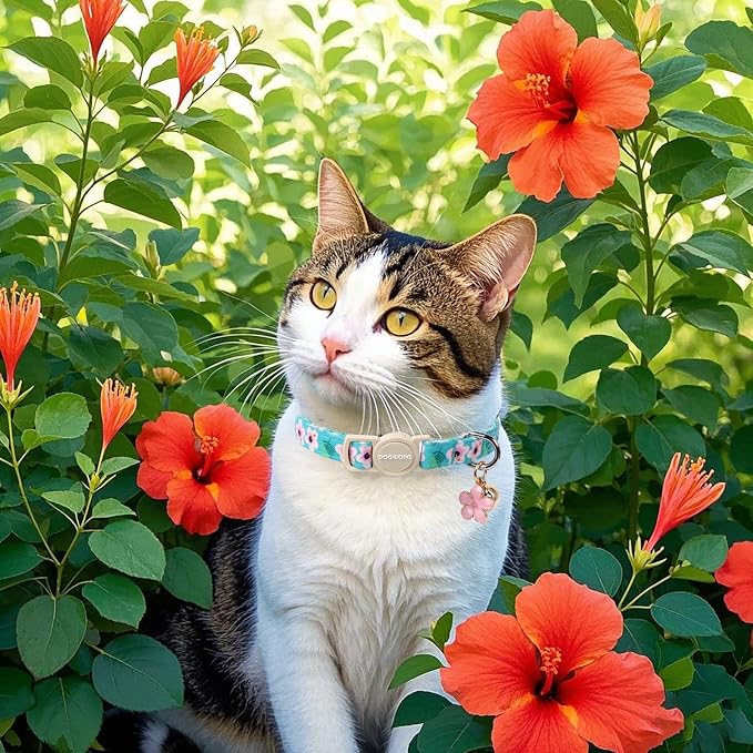 Cat Collar, 2 Pack Pink Flower Cat Collars Breakaway - Image 6