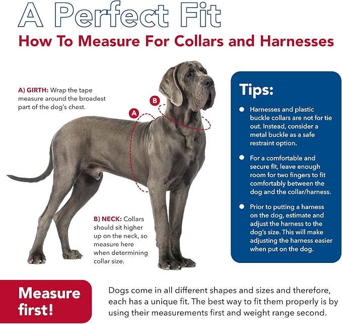 Coastal Pet K9 Explorer Reflective Adjustable Dog Collar - Image 7