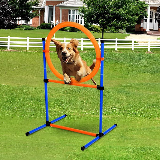 Dog Agility Equipment, 2 in 1 Dog Obstacle Course Training Starter Kit by Bebegigi