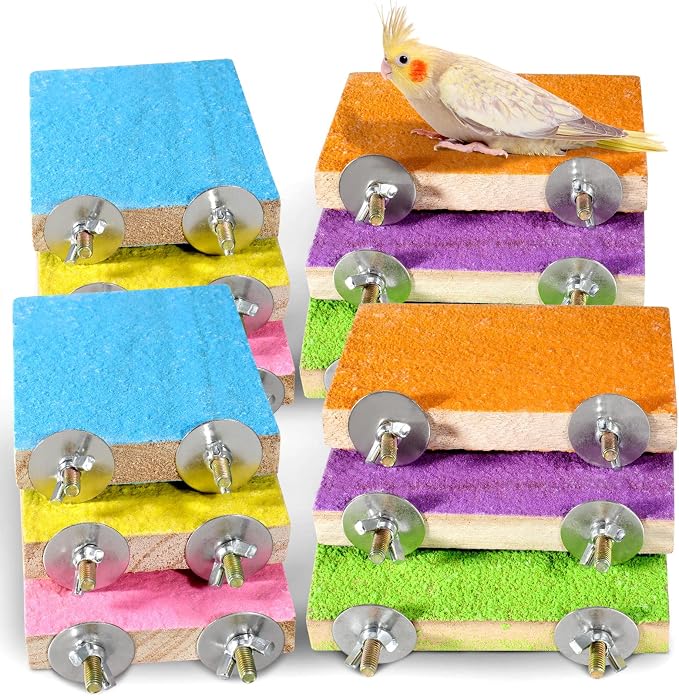 Reginary 12 Pcs Bird Perch Stand Toy Wood Parrot Stand Platform Colorful Paw - Image 2