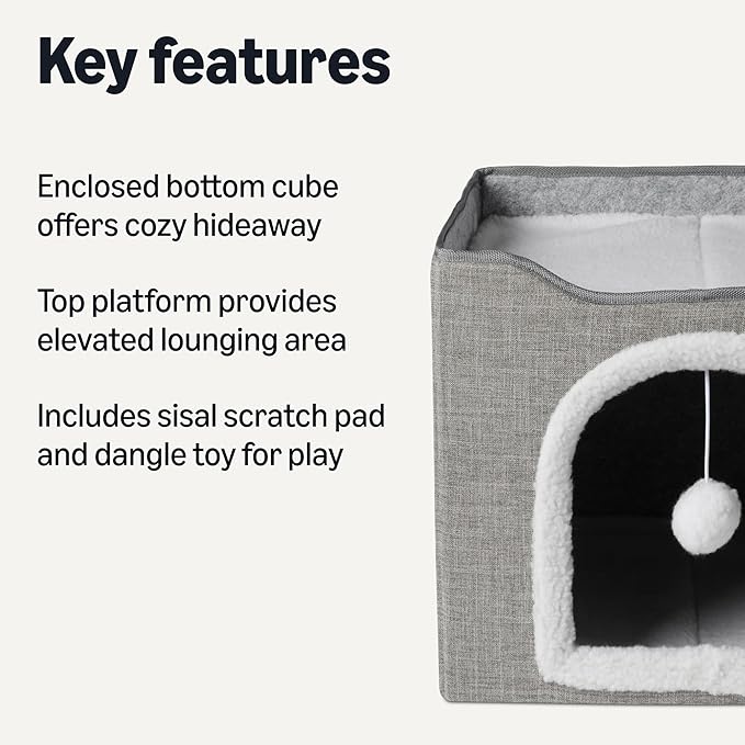 Amazon Basics Cat House 1 Story, Foldable Cat Condo - Image 2