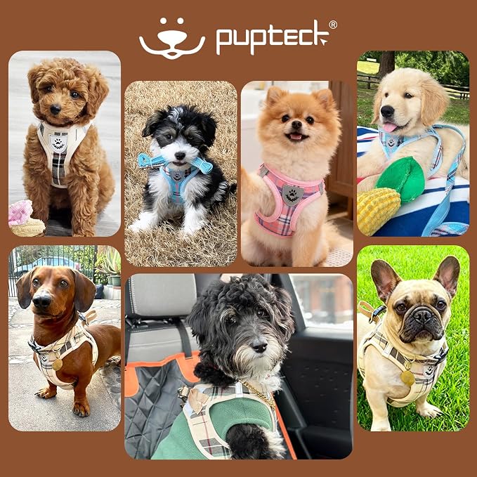 PUPTECK Adjustable Dog Harness Collar and Leash Set Step in No Pull Pet Harness - Image 8