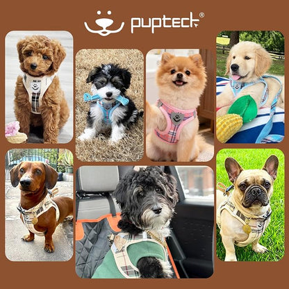 PUPTECK Adjustable Dog Harness Collar and Leash Set Step in No Pull Pet Harness - Image 8
