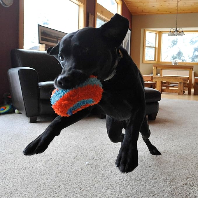 Chuckit! Indoor Fetch Roller Toy - Image 7