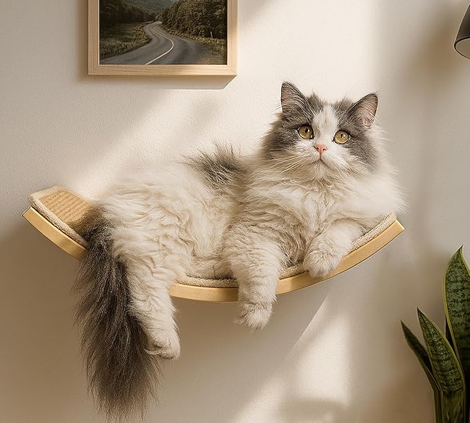 Wood Cat Wall Bed with Sisal Mat – Curved Cats Shelf by PELUOMOZ