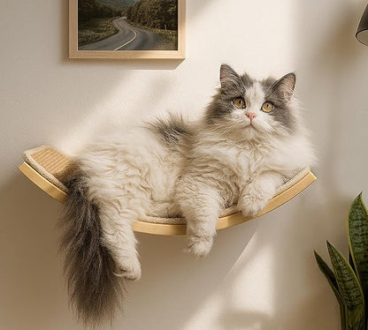 Curved Cat Wall Hammock with Scratchable Sisal Pad, Large Floating Cat Shelf by PELUOMOZ