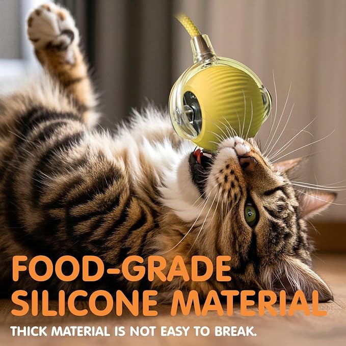 Rocfish Durable Interactive Cat Toys - Image 5