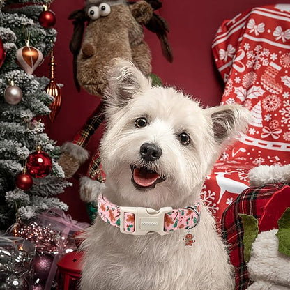 DOGWONG Christmas Dog Collar - Image 5