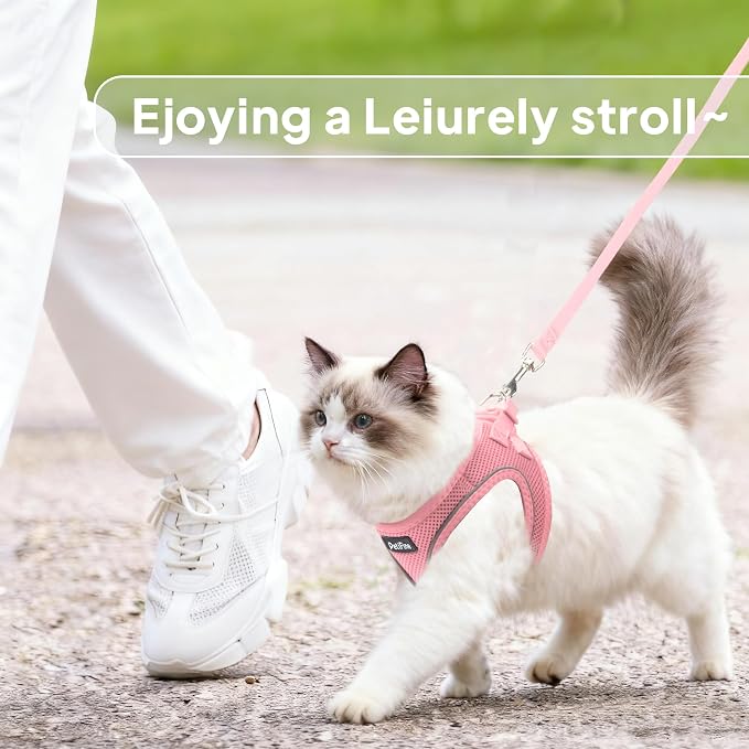 PetiFine Extra Small Step in Dog Harness and Leash Set, Cat Harness and Leash - Image 5