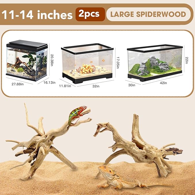Jorewood Natural Large Spiderwood Driftwood - Image 2