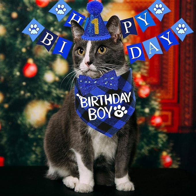 STMK Cat Birthday Party Supplies, Cat Birthday Hat - Image 2