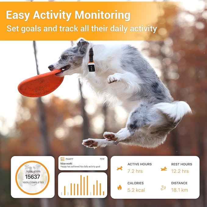 Pawfit 3 GPS Pet Tracker GPS Dog Tracker 4G Live Tracking, Smart Alerts - Image 4