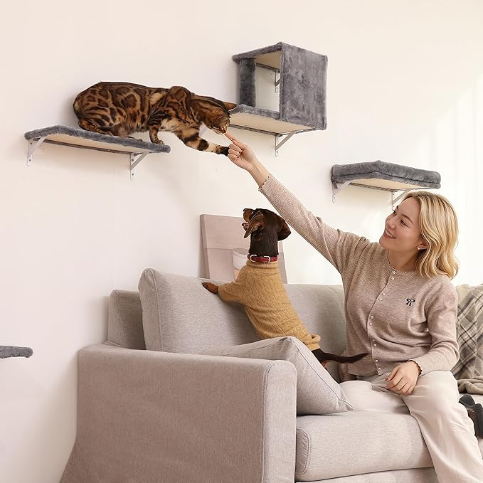 FUKUMARU Cat Wall Shelves, Stable & Safe 4 in 1 Cat Wall Mounted Furniture Set - Image 4