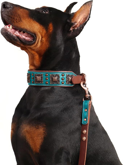 PET ARTIST Genuine Leather Dog Collar - Image 7