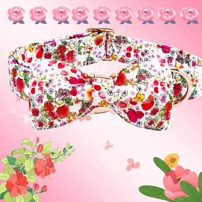 Elegant little tail Dog Collar - Image 4