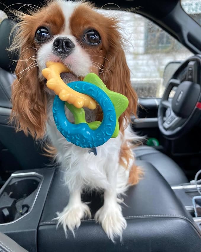 Nylabone Teething Rings Puppy Power Chew Toy - Image 7
