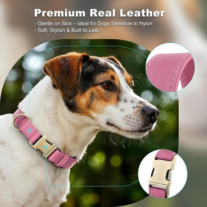 Plutus Pet Genuine Leather Dog Collar – Adjustable Pet Collar - Image 3