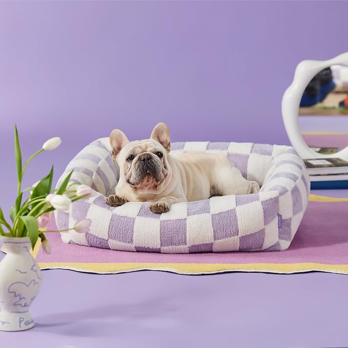 LE SURE Cute Dog Bed for Medium Dogs - Image 4