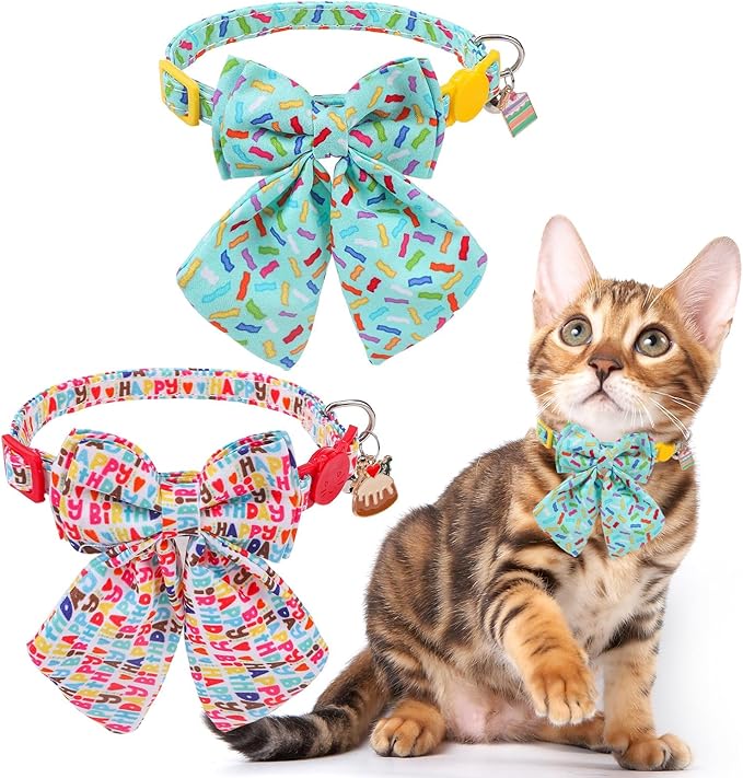 SCENEREAL Birthday Cat Collar by SCENEREAL
