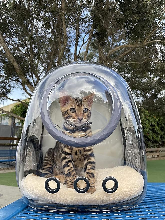 Bubble Cat Carrier Backpack Transparent Pet Carrier Backpack - Image 6