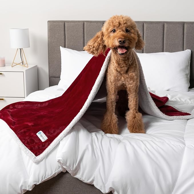 PetAmi Waterproof Dog Blanket for Medium Large Dog Puppy Cat Throw for Couch - Image 8
