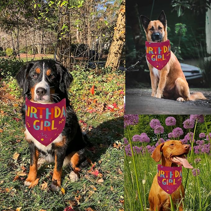 Dog Birthday Party Supplies Dog Birthday Girl Bandanas Party Pet Supplies - Image 6