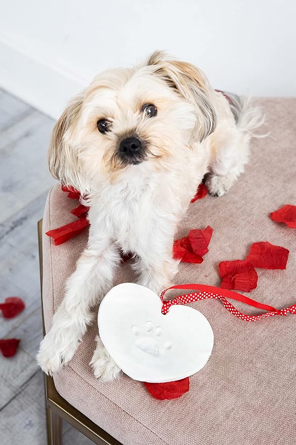Pearhead Pet Paw Print Valentine’s Ornament Kit – Heart-Shaped Clay Pawprint - Image 3