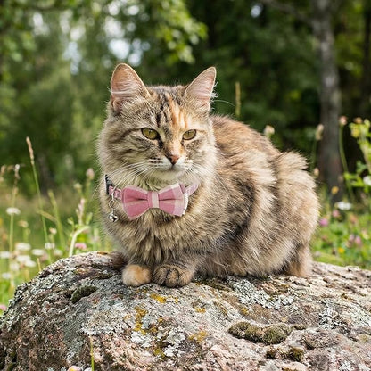 Cat Girl Collar Breakaway Bowtie - Image 7