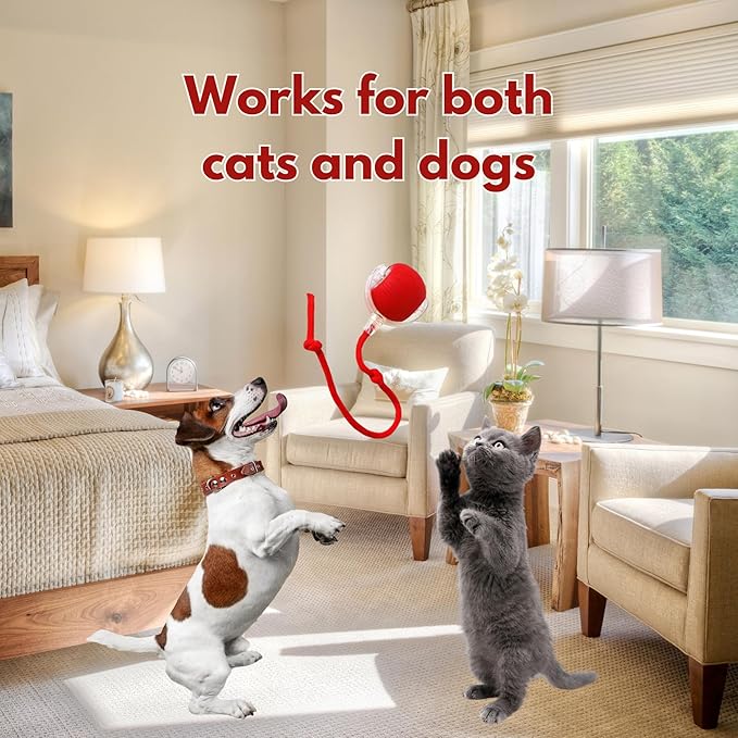 Speedy Tail 2.0 Cat Toy, 360°Automatic Rolling Ball, Smart Interactive Cat Toy - Image 6