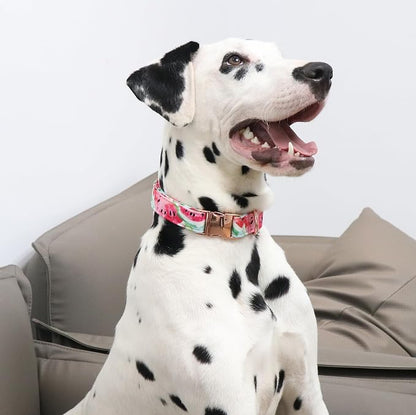 Unique Style Paws Dog Collar Metal Buckle Watermelon Cute Collar - Image 4