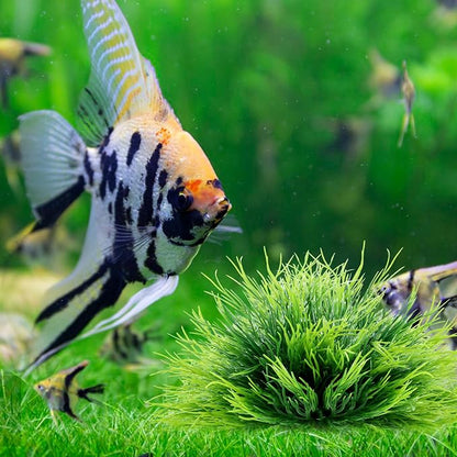 2pcs Aquarium Plants Decorations Artificial Fish Tank Plants Plastic Fish Tank - Image 4