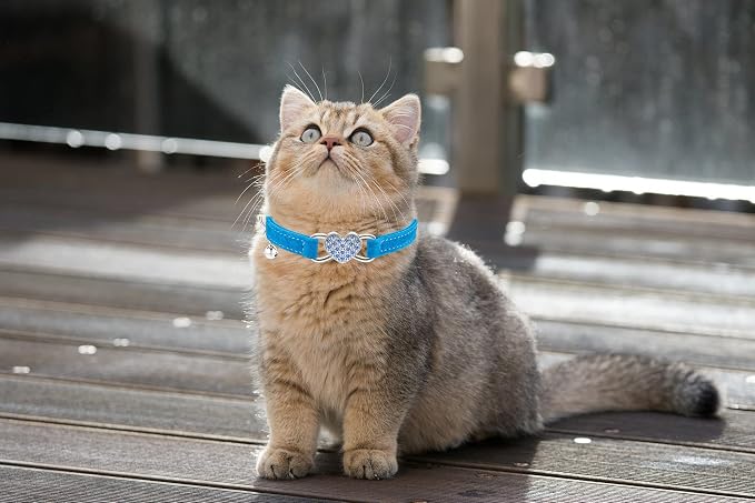 Heart Bling Cat Collar with Safety Belt and Bell Adjustable 8-10 inches - Image 5