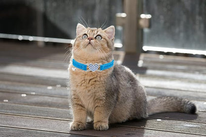 Heart Bling Cat Collar with Safety Belt and Bell Adjustable 8-10 inches - Image 5