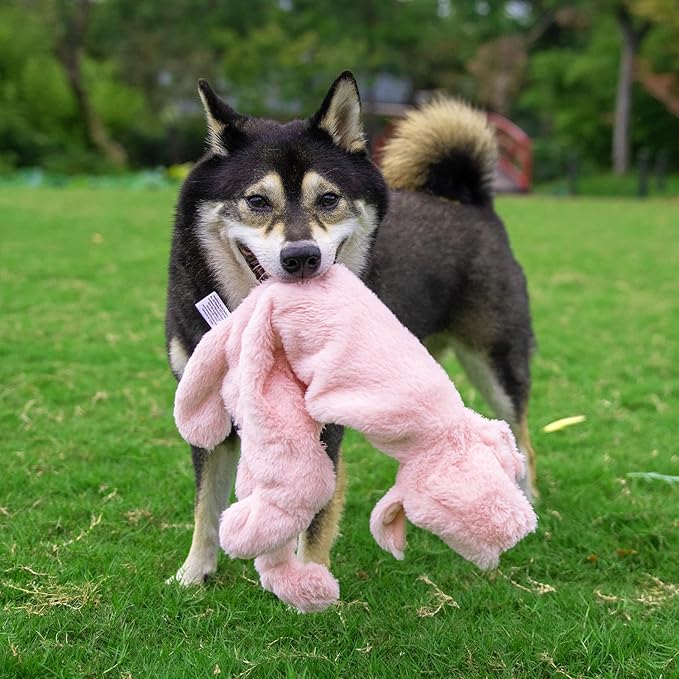 Best Pet Supplies Squeaky Dog Toys - Image 8