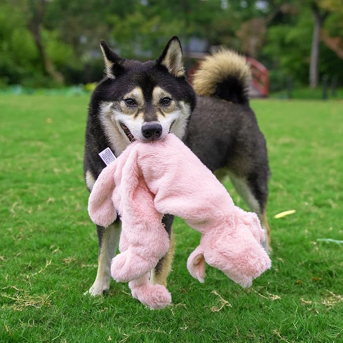 Best Pet Supplies Squeaky Dog Toys - Image 8