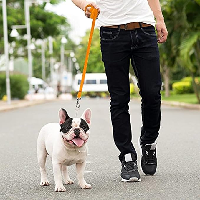 Downtown Pet Supply - Image 5
